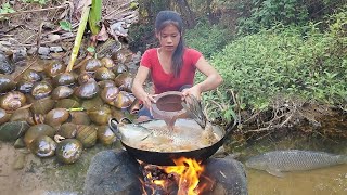 Survival in the rainforest, Cooking redfish is very tasty, Catch and cook snail for dinner, +5 video