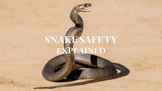 Don't Get Bit! Snake Safety Explained