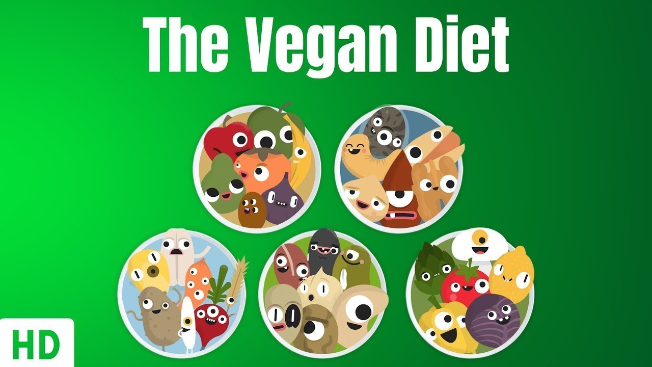 The Vegan Diet Everything You Need To Know Olyabrand The Vegan Diet Everything You Need To Know Olyabrand