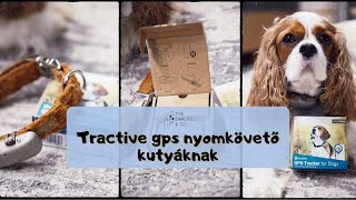 The Cavlife \u0026 Co. - Tractive gps dog 4 nyomkövető és aktivitásmérő kutyáknak