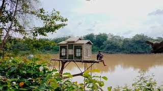 Membangun rumah pohon di tepi sungai - Solo camping hujan deras