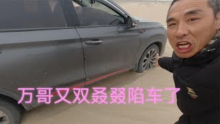 小万冒险沙地陷车，小康救援步后尘，旺哥无证救援要求免费【流浪的独孤老狼】