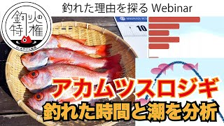 釣れた時間と潮の傾向を約２分動画で！相模湾東アカムツスロージギング！ 2023年上半期