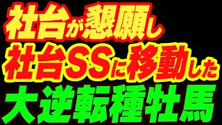 社台が懇願し社台SSへ移動した大逆転種牡馬