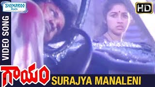 Gaayam Telugu Movie Songs | Surajya Manaleni Video Song | Jagapathi Babu | Revathi | Shemaroo Telugu