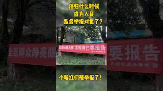 海歸什麼時候成為人民監督舉報對象了？ 小粉紅被舉報了咋辦？ 想要成為自己人是要納投名狀的，但是想要成為敵人，最低限度只需要一個眼神就足夠了。 #海歸 #舉報 #小粉紅 #五毛 #留學生 #小留