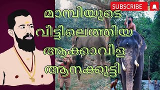 മാമ്പിയും ആനക്കുട്ടിയുമെത്തിയാല്‍ ആരാധകര്‍ ചുറ്റും കൂടും.