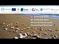 Official launch of the4-OCEANS project