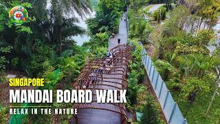 🇸🇬 Newly Opened 3.3 KM Mandai Boardwalk Tour | Singapore Hiking Tour