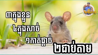 ៣ជាប់ខ្លួន ៤ជាប់សាច់ ១កាត់ផ្តាច់ ២ជាប់តាម