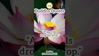 Buddha Quotes | Top Best WhatsApp Status | Daily Wisdom | Zen Motivation & Life Attitude #shorts 9