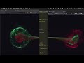 Multiple Window 3D  Synchronize #entangled