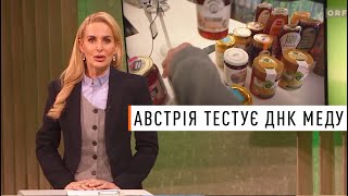 Австрія занепокоєна якістю меду в супермаркетах. Звідки взялося 80% фальсифікату?