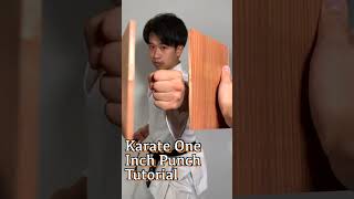 Karate One Inch Punch Tutorial!