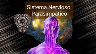 ☄️432 Hz - Tono vagal - Maneras de estimular el nervio vago - Sistema nervioso parasimpático - Repar