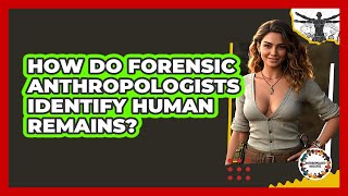 How Do Forensic Anthropologists Identify Human Remains? - Anthropology Insights