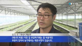 [경기] 에너지 절감형 수경재배기술 개발 / YTN