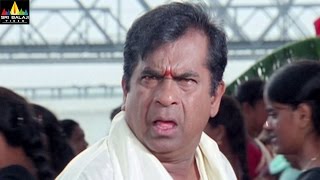 Back to Back Comedy Scenes | Vol 16 | Top Comedy Scenes Telugu | Sri Balaji Video
