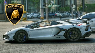 람보르기니 아벤타도르 SVJ 로드스터 역대급 풀악셀 배기음// aventador SVJ exhaust!!!