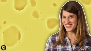 What Lives In Cheese?