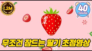 🍓아이감성발달🍓 (광고없음) 잠투정하는 아이 잠잘자는 음악과 초점영상 아기자장가 릴렉스음악 시력발달 과일 패턴 딸기 수면음악 진정 포커싱 패턴영상 자장가 40분 아기재울때