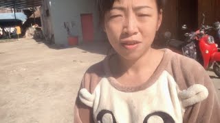 小勇小七拍婚纱照了，趁天气好勇姐勇爸勇妈抓紧时间晒柿饼