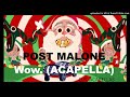 Post Malone - Wow. (Acapella - Vocals Only)