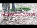 EL Bebedero de los Pájaros