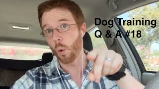 Dog Training Question and Answer #18- Squirrel Chasing, Dog Aggression toward family and more