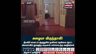 Bear Enters Home | அழையா விருந்தாளி! நீலகிரியில் தனியார் தோட்ட மங்களாவில் நுழைந்த கரடியால் பரபரப்பு!