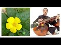 ustad mohi bahauddin dagar rudraveena raag bageshree