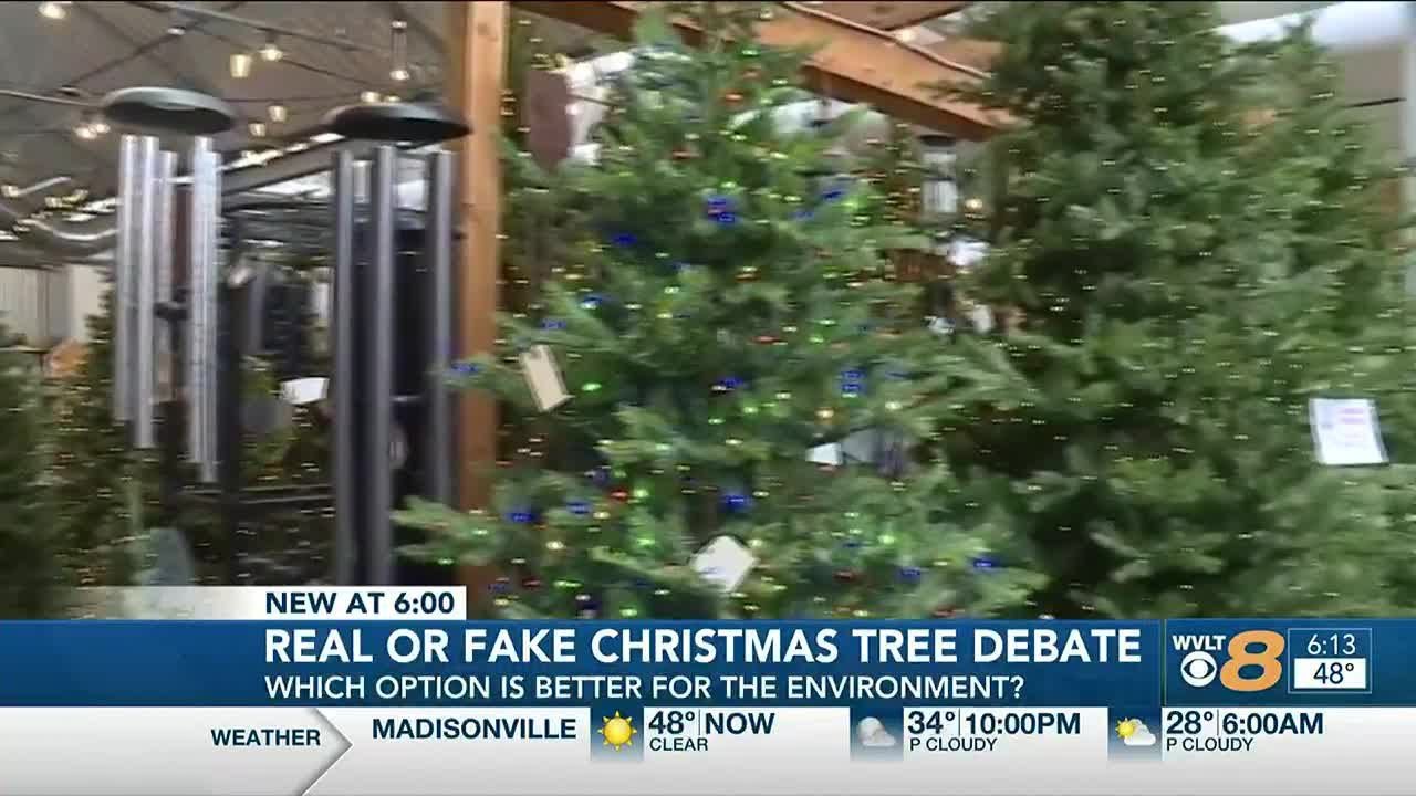 Real Or Fake: Which Type Of Christmas Tree Should You Get? - YouTube