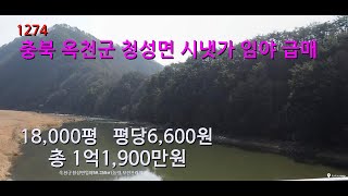 [번호 1274}충북 옥천군 청성면 시냇가 임야 급매 평당6,600원