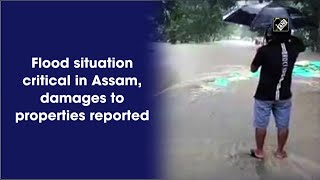 Flood situation critical in Assam, damages to properties reported