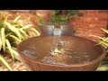 tranquil escapes soothing water gardens streams and features powered by oase