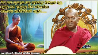 පින සහ කුසලය යනු කුමක්ද?34පූජ්‍ය තපෝවනයේ අරියධජ හිමි