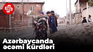 Azərbaycanda əcəmi kürdləri necə yaşayır, nə ilə dolanır, nədən şikayət edirlər...