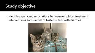How To Turn Orphan Kittens into Senior Cats - webcast