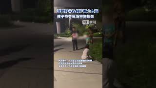 宠物狗未拴绳吓哭小女孩，孩子爷爷当场将狗摔死