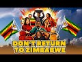 Before You Leave The Diaspora For Zimbabwe, Watch This  - Real talk 🇿🇼