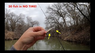 I caught 30 fish in the CREEK with THIS rig and technique! PRESPAWN bite was ON!