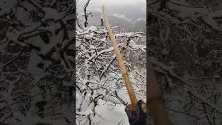 Chopta Snowfall | Nature Video - 15