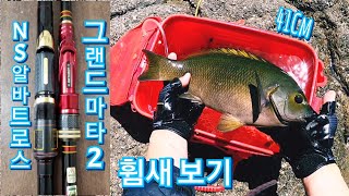 Big Opaleye Fishing With Korea's Best Fishing Rod