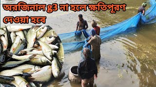 এই প্রথম g3 রুই মাছের পোনা ছাড়লাম | g3 রুই মাছ কি আসলেই আছে