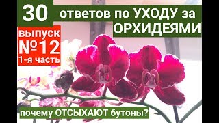 ОРХИДЕЯ ФАЛЕНОПСИС в домашних условиях ПОЧЕМУ ОПАДЮТ и СОХНУТ БУТОНЫ