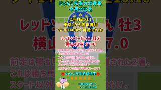 【一口馬主】にゃんこ先生の出資馬《2月1日・2日の出走予定》