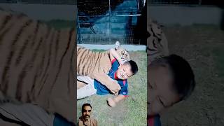 Naughty Kid Playing With Bengal Tiger | Nouman Hassan | #cute #lion