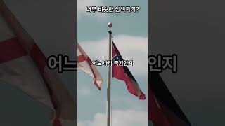 너무 헷갈리는 세 나라의 국기! #shorts #국가 #상식 #국기