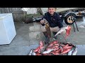 Action Packed Spring Fishing!!! Haddock, Acadian Redfish, cusk, cod* and Pollock