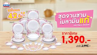 CherryBlossom   ชุดจานชามเมลามีน 100% 42 ชิ้น/ชุด